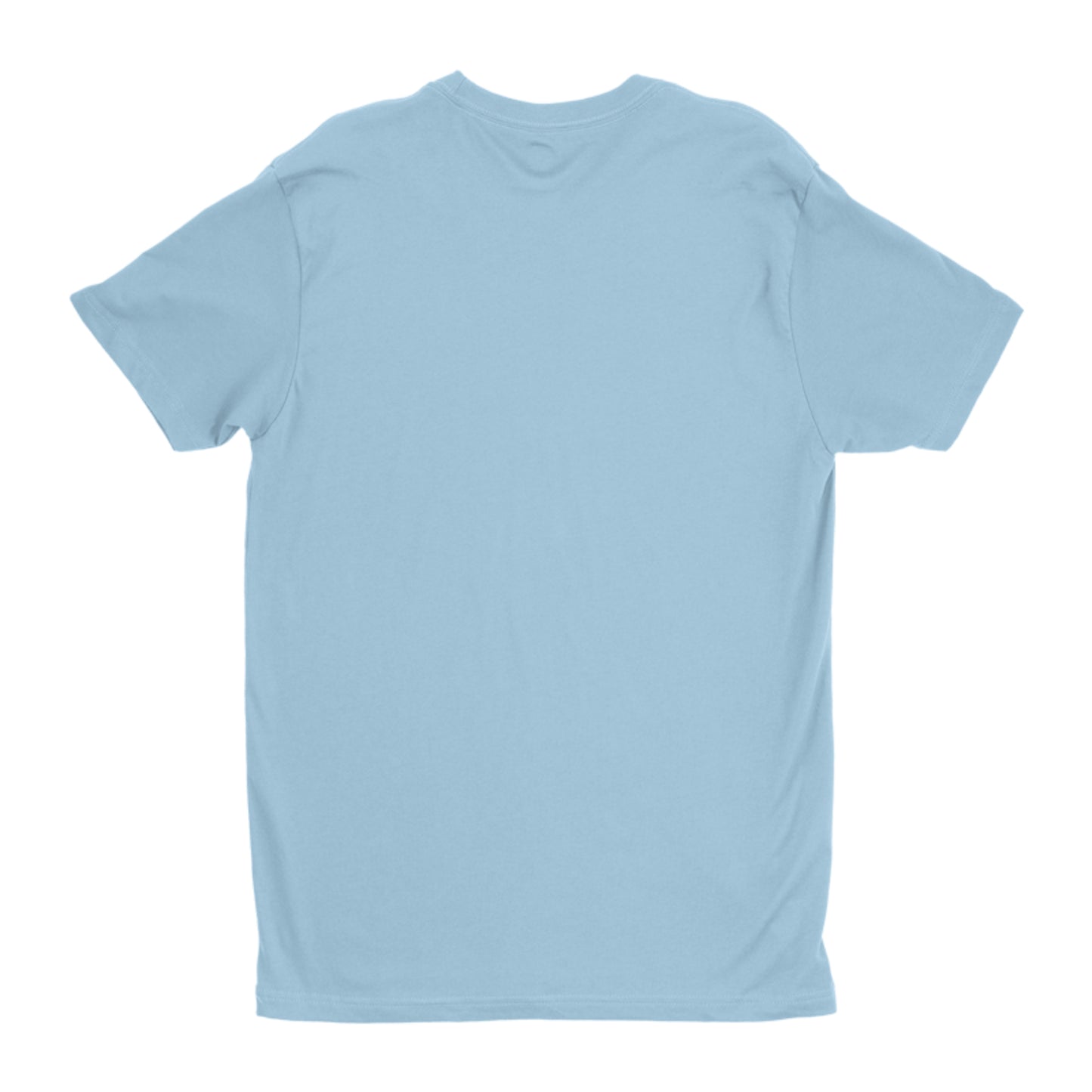 JESUS Is THE KING with Background Next Level Premium Fitted Crew