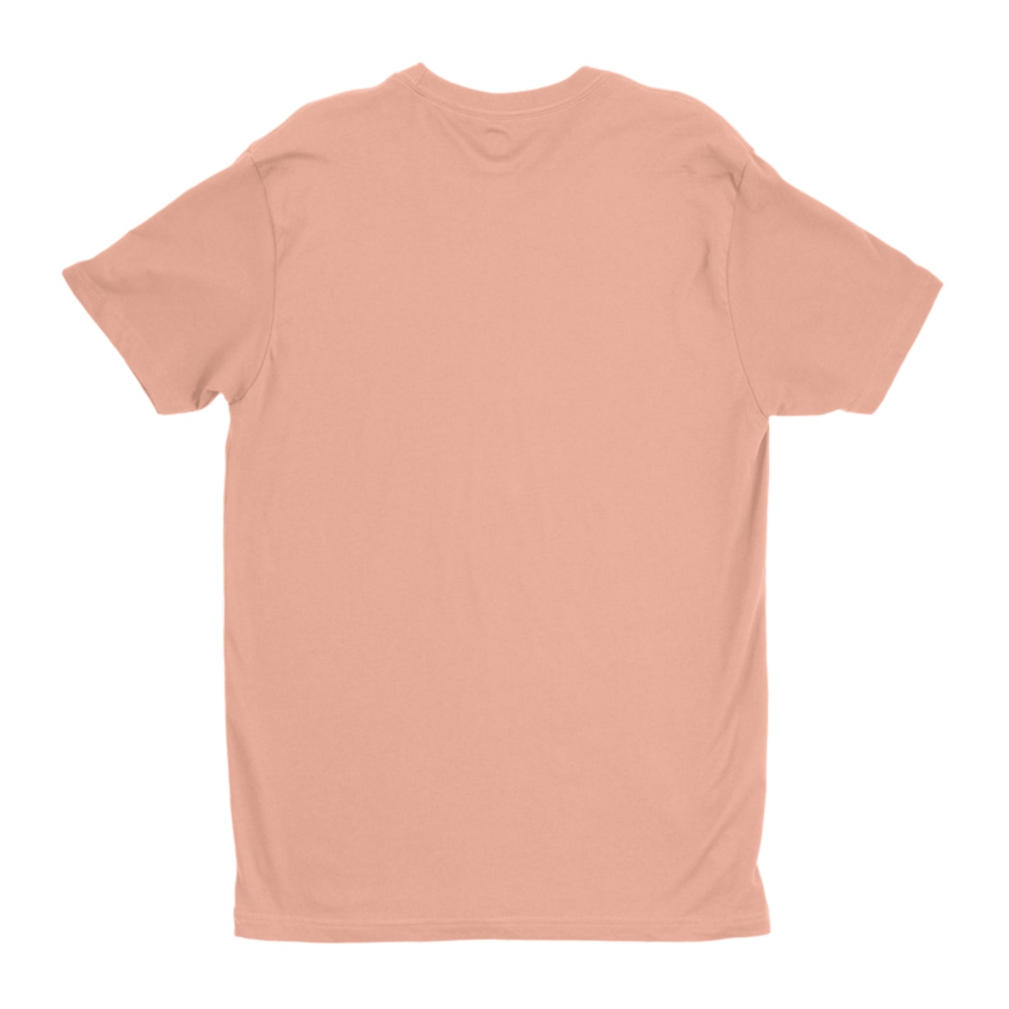 JESUS Is THE KING with Background Next Level Premium Fitted Crew