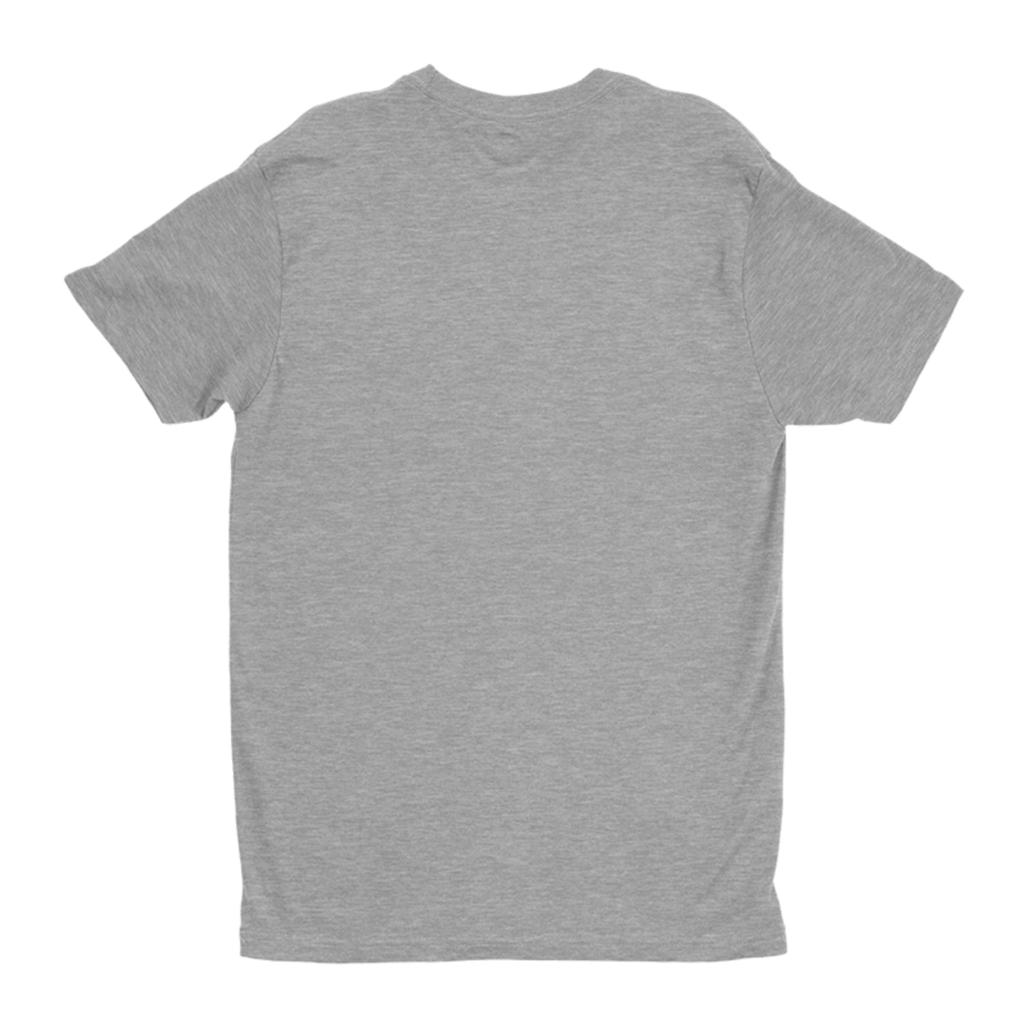 JESUS Is THE KING with Background Next Level Premium Fitted Crew