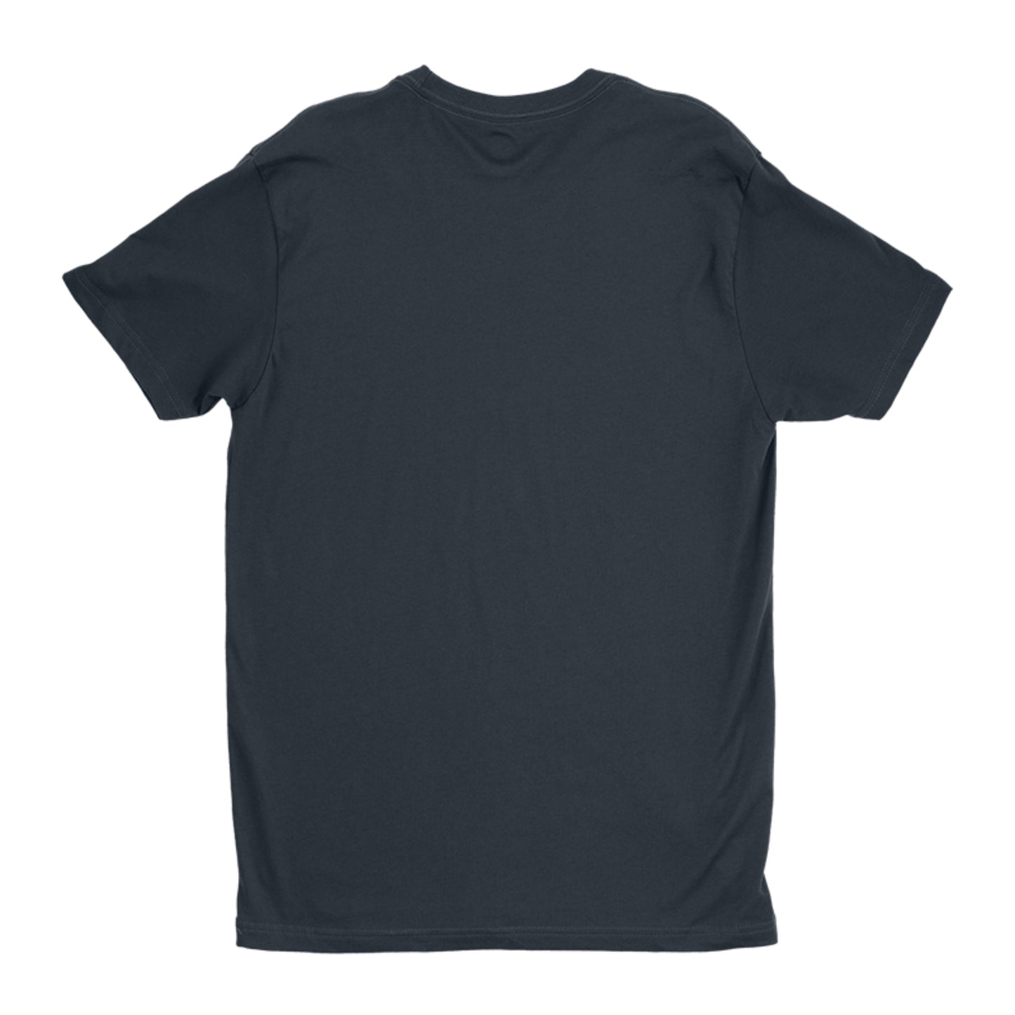 JESUS Is THE KING with Background Next Level Premium Fitted Crew