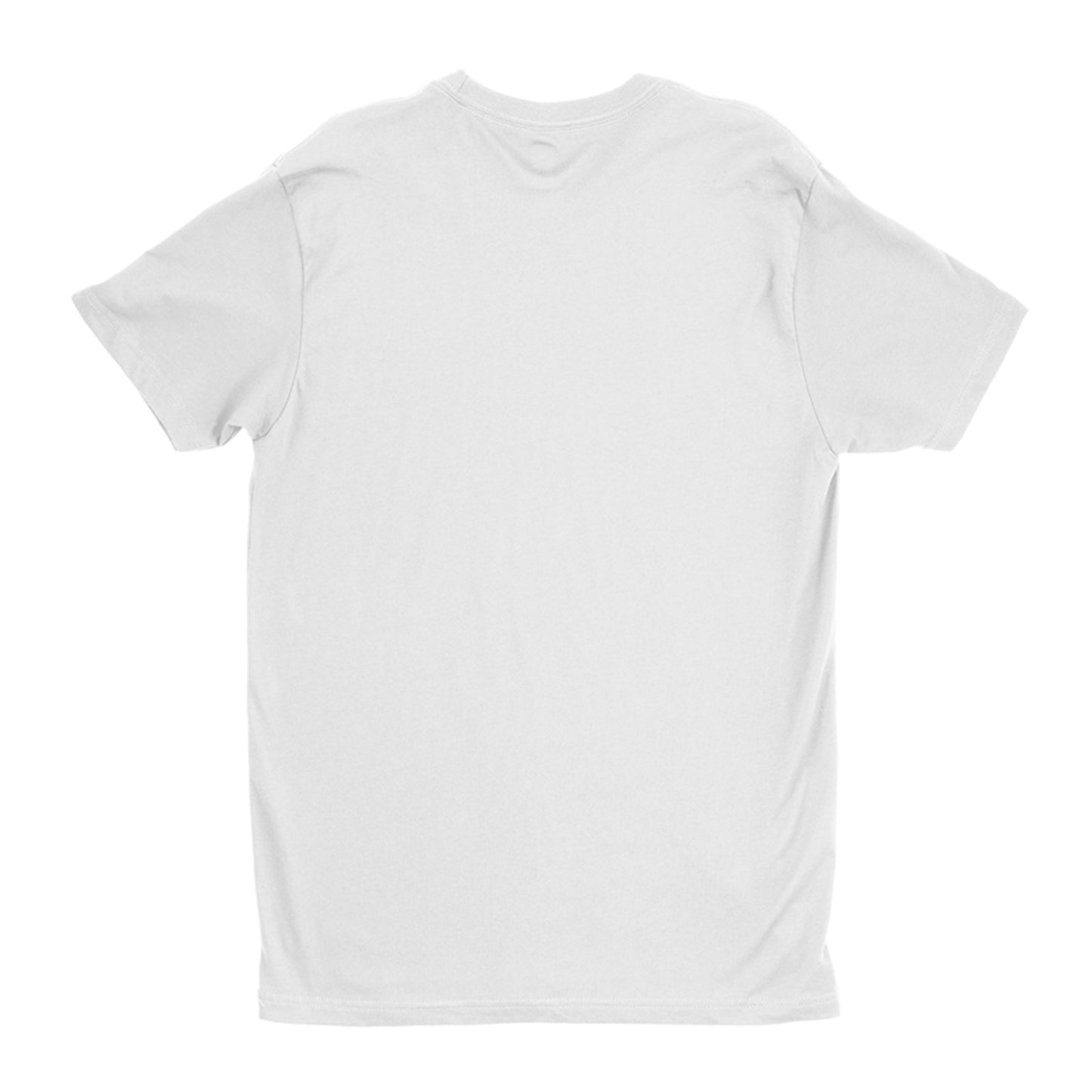 JESUS Is THE KING with Background Next Level Premium Fitted Crew